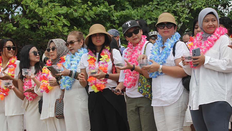 Ratusan Tukik dilepaskan ke Pantai Semawang, Sanur, Bali. (Bloomberg Technoz/Arie Pratama)