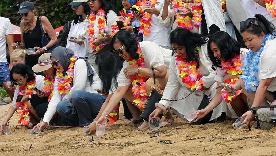 Peserta melakukan pelepasan tukik dalam acara Women on the Move di Bali, Sabtu (31/8/2024). (Bloomberg Technoz/Arie Pratama)