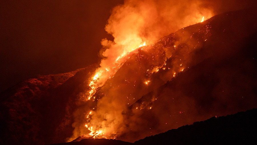 Kebakaran hutan yang meluas di California Selatan telah memaksa evakuasi massal. (Kyle Grillot/Bloomberg)