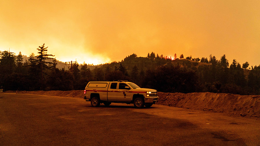 Kebakaran ini melahap area yang berbatasan dengan pemukiman dan bangunan komersial di Taman Nasional San Bernardino. (Kyle Grillot/Bloomberg)