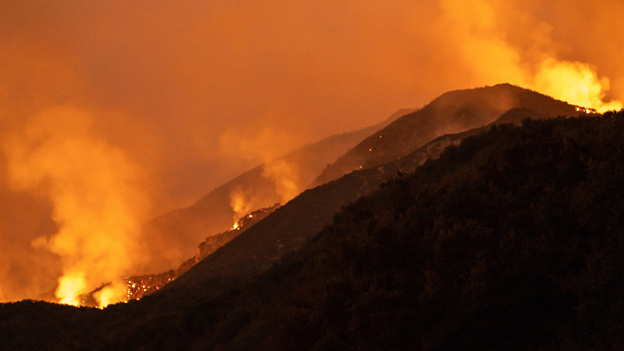 Lereng bukit terbakar selama Kebakaran Line di Mountain Home Village, California, AS, Senin (9/9/2024). (Kyle Grillot/Bloomberg)