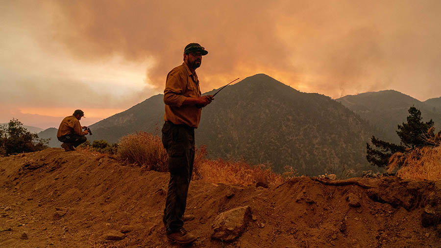 Petugas pemadam kebakaran memantau aktivitas kebakaran selama Kebakaran Line di Big Bear, California, AS, Senin (9/9/2024). (Kyle Grillot/Bloomberg)