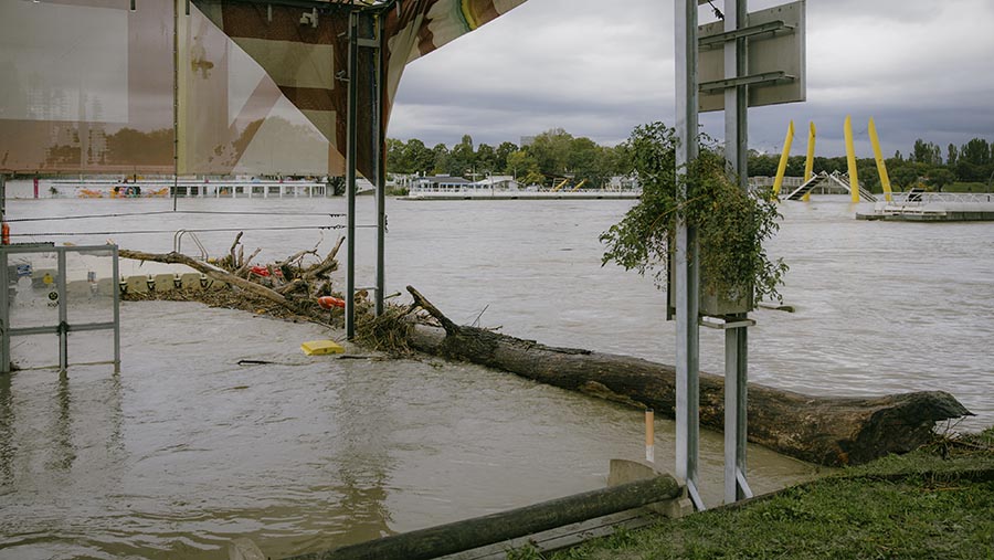 Puing-puing dari banjir saat permukaan air tinggi di wilayah Pulau Donau di Wina,  Austria, Senin (16/9/2024). (Michaela Nagyidaiova/Bloomberg)
