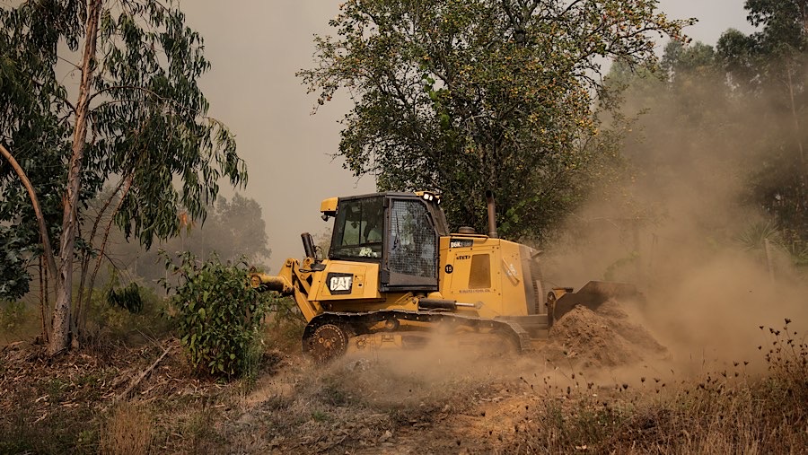 Pemerintah telah membatasi akses ke kawasan hutan karena meningkatnya risiko kebakaran. (Goncalo Fonseca/Bloomberg)