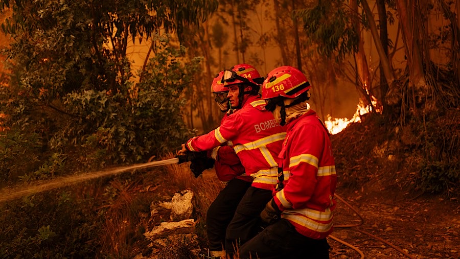 Petugas pemadam kebakaran menangani kebakaran hutan di wilayah Aveiro, Portugal, Rabu (18/9/2024). (Jose Sarmento Matos/Bloomberg)