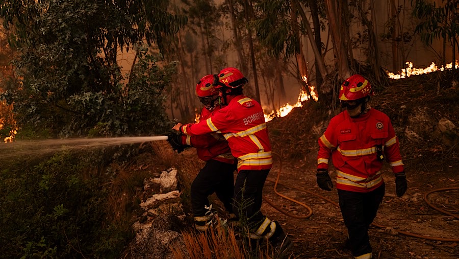 Petugas pemadam kebakaran menangani kebakaran hutan di wilayah Aveiro, Portugal, Rabu (18/9/2024).(Jose Sarmento Matos/Bloomberg)