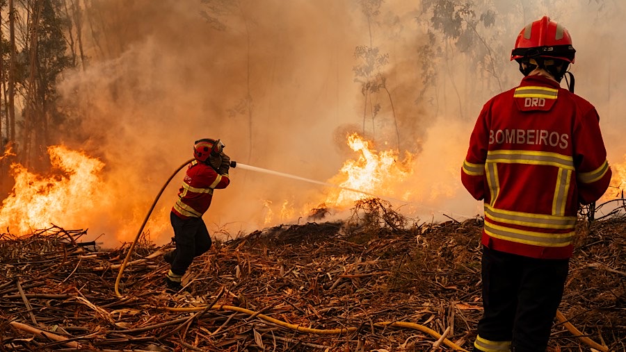 Sekitar 4.000 petugas pemadam kebakaran serta 22 pesawat diterjunkan untuk menangani kebakaran tersebut. (Jose Sarmento Matos/Bloomberg)