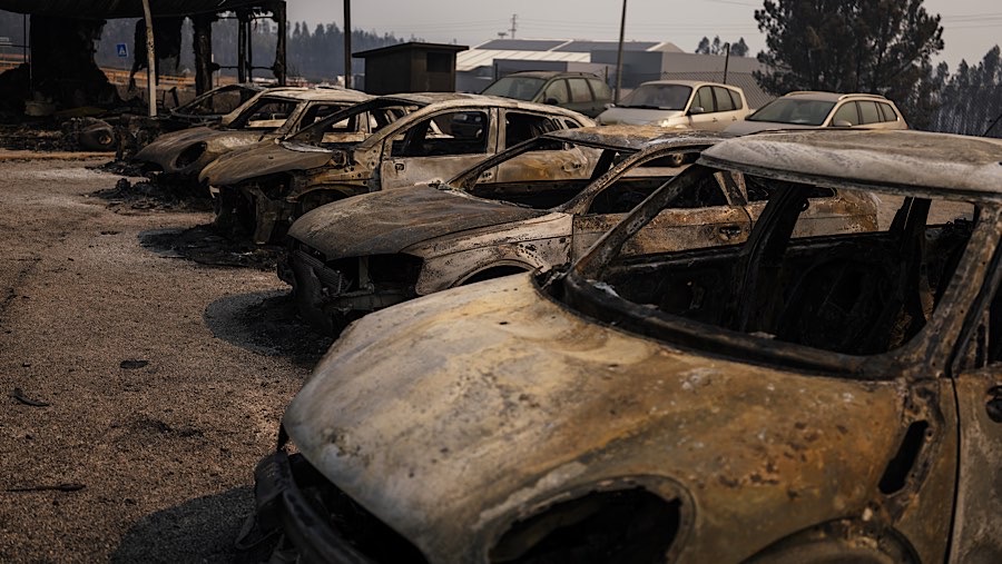 Kebakaran hutan juga menghanguskan sejumlah mobil yang berada di dealer dekat lokasi kebakaran. (Jose Sarmento Matos/Bloomberg)