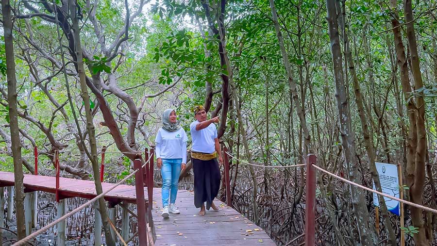 Ekowisata Hutan Mangrove Purba Jerowaru Kerek Ekonomi Masyarakat (PLN)