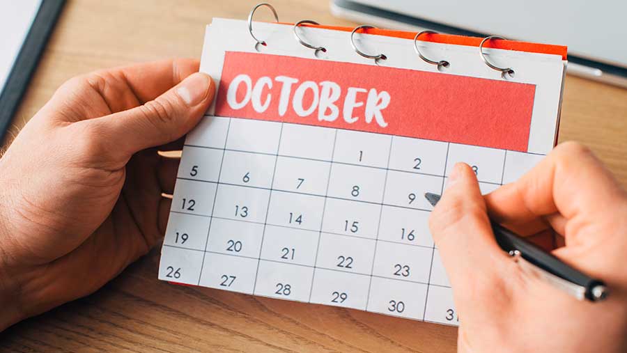 Kalender Oktober 2024 (Envato/LightFieldStudios)