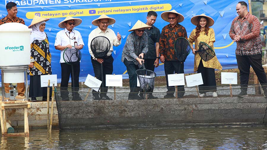 Keberhasilan ini dirayakan dengan panen raya di Sukabumi bersama Wakil Menteri Kominfo. (Bloomberg Technoz/Andrean Kristianto)