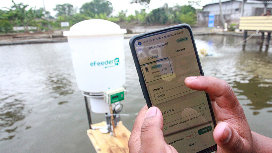 Pembudidaya menggunakan aplikasi eFishery untuk memberi pakan ikan di Sukabumi, Jawa Barat, Kamis (3/10/2024). (Bloomberg Technoz/Andrean Kristianto)