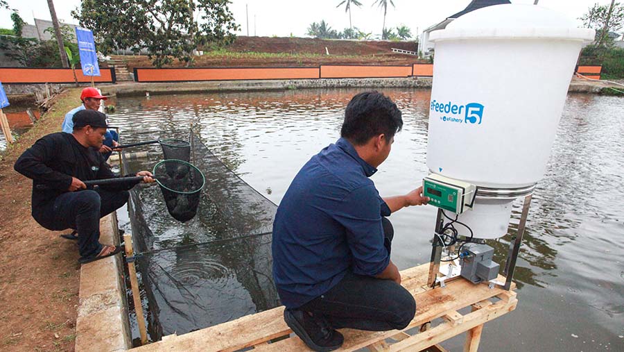 eFeeder merupakan teknologi pemberi pakan otomatis untuk ikan dan udang yang berfokus pada efisiensi pakan. Bloomberg Technoz/Andrean Kristianto)