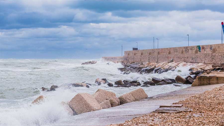 Pengembang China Disebut Berminat, Proyek Giant Sea Wall Berlanjut (Envato)