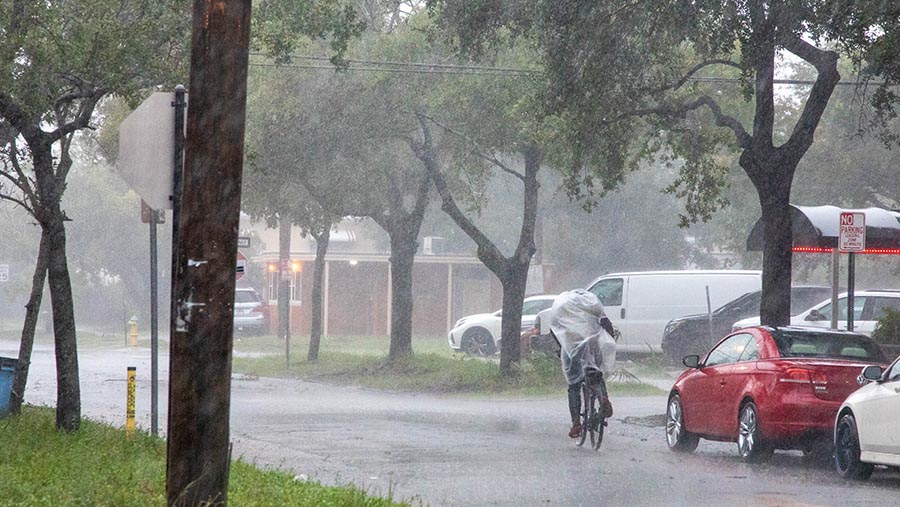 Pesepeda di tengah hujan lebat selama Badai Milton di St. Petersburg, Florida, AS, Rabu (9/10/2024). (Tristan Wheelock/Bloomberg)