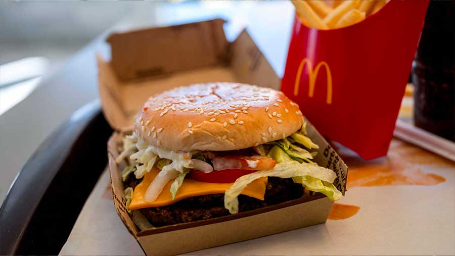 Burger Mcdonald's Diduga Terinfeksi E Coli, Sebabkan Kematian di Amerika Serikat (Bloomberg)