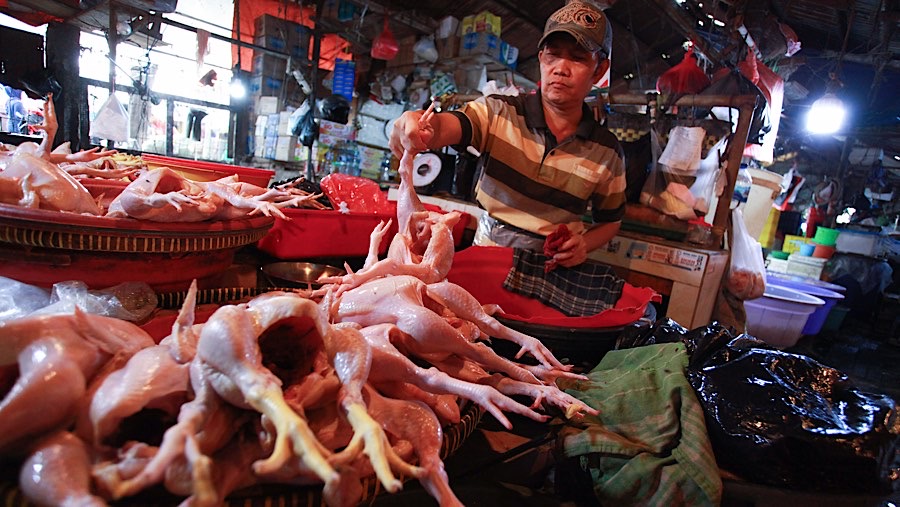 Namun tak semua mengalami kenaikan, harga daging ayam kini mengalami penurunan harga semenjak dua hari lalu. (Bloomberg Technoz/Andrean Kristianto)