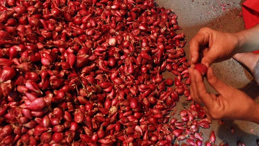 Saat ini harga bawang merah dijual seharga Rp35.000 hingga Rp40.000/kg. (Bloomberg Technoz/Andrean Kristianto)