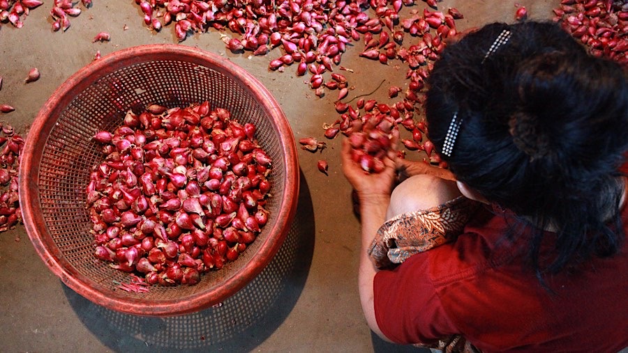 Selain harga emas, bawang merah juga mengalami kenaikan harga. (Bloomberg Technoz/Andrean Kristianto)