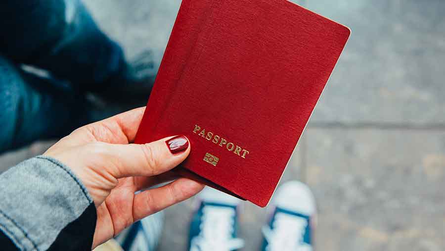 Ilustrasi Passport (Envato)