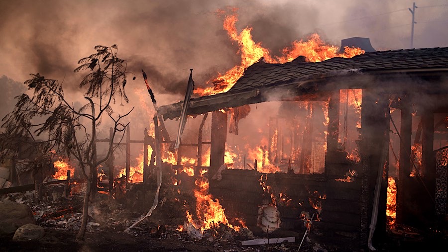 Petugas pemadam kebakaran berjuang keras untuk menahan kebakaran hutan Ventura County. (Eric Thayer/Bloomberg)