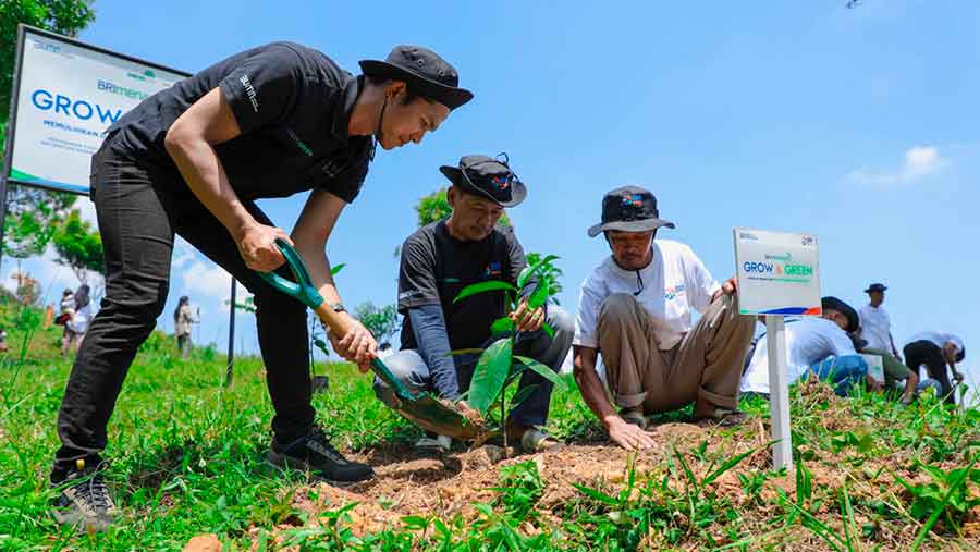 Pulihkan Hutan Bekas Tambang, Aksi Nyata Kelompok Tani Selamatkan Lingkungan Bersama BRI Menanam-Grow & Green (BRI)