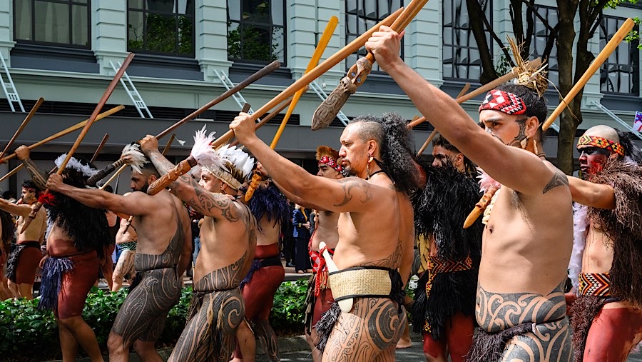 Prajurit Maori berbaris menuju gedung parlemen di Wellington, Selandia Baru, Selasa (19/11/2024). (Mark Coote/Bloomberg)