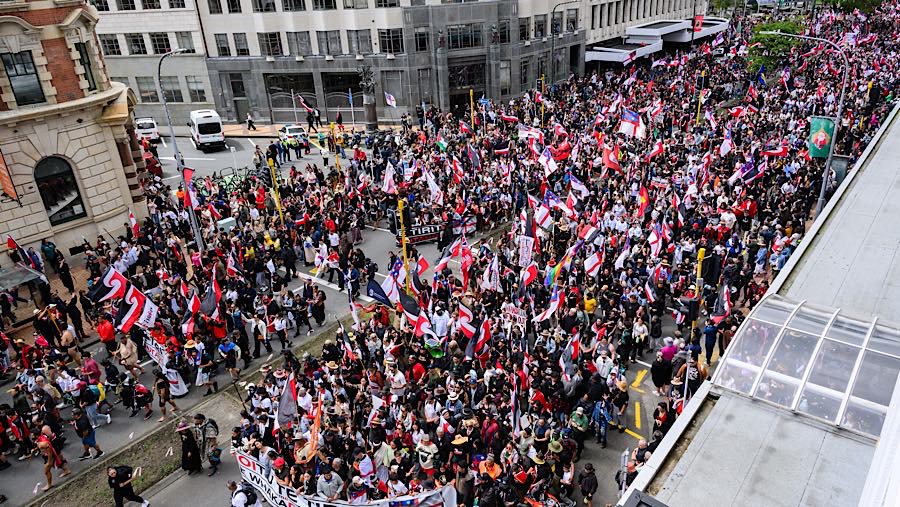 Pengunjuk rasa berbaris menuju gedung parlemen di Wellington, Selandia Baru, Selasa (19/11/2024). (Mark Coote/Bloomberg)