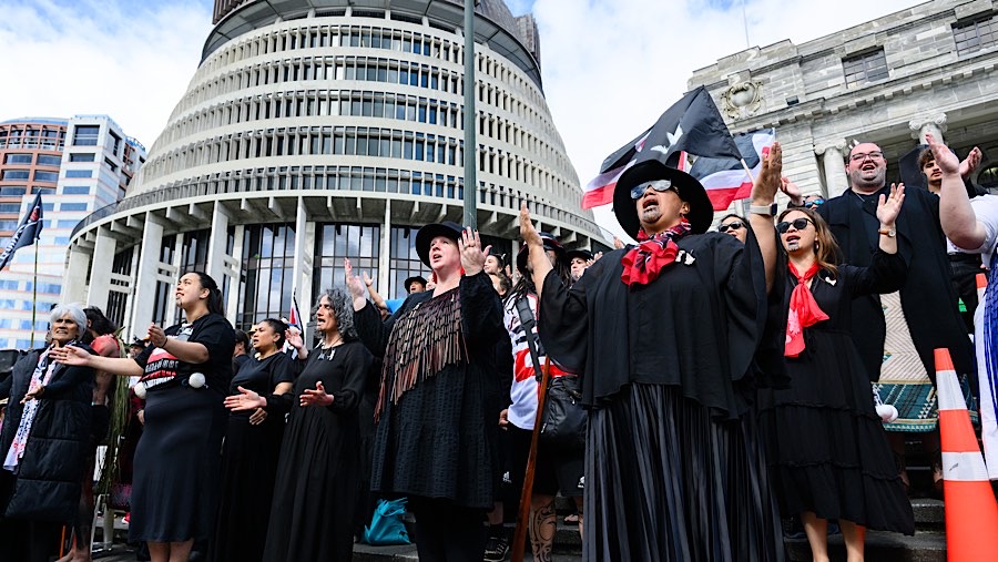 Pengunjuk rasa menuju tangga gedung parlemen, tempat mereka bernyanyi dan melambaikan bendera. (Mark Coote/Bloomberg)