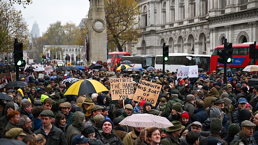 Peraturan tersebut menetapkan bahwa aset pertanian warisan senilai lebih dari £1 juta, akan dikenakan pajak sebesar 20% (Chris J. Ratcliffe/Bloomberg)