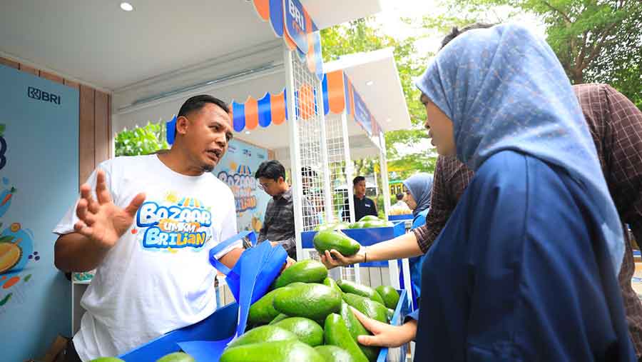 Berkat Program Pemberdayaan BRI Klasterku Hidupku, Petani Ini Berhasil Kembangkan Budidaya Alpukat (BRI)