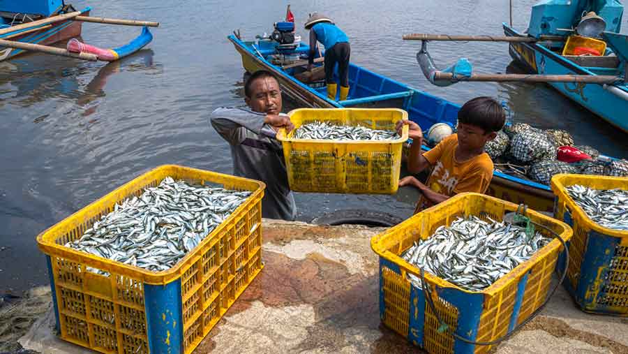 Terus Dorong Pelaku UMKM Naik Kelas, BRI Telah Salurkan KUR Rp158,6 Triliun (BRI)