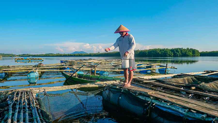 Terus Dorong Pelaku UMKM Naik Kelas, BRI Telah Salurkan KUR Rp158,6 Triliun (BRI)