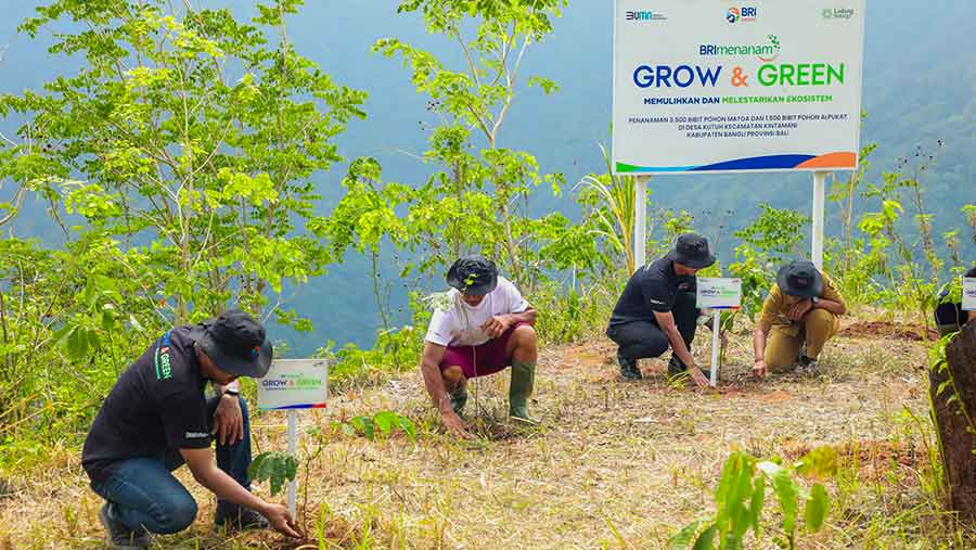 Peringati Hari Menanam Pohon, BRI Tanam 5.000 Bibit Pohon Produktif di Desa Kutuh Bali (BRI)