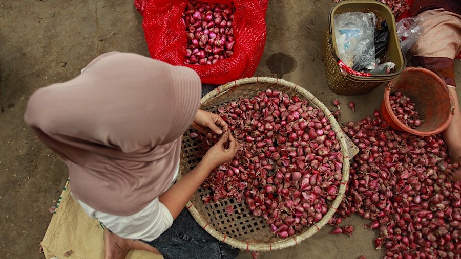 Komoditas penyumbang inflasi November secara month-to-month di antaranya bawang merah. (Bloomberg Technoz/Andrean Kristianto)