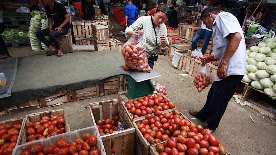 Selain bawang merah, tomat juga menyumbang inflasi pada November. (Bloomberg Technoz/Andrean Kristianto)