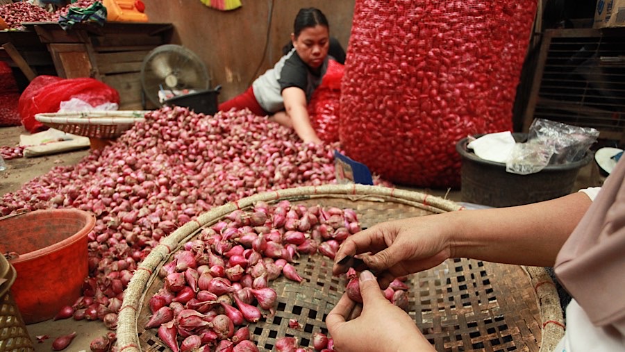 Pekerja mengupas bawang merah di Pasar Induk, Kramat Jati, Senin (2/12/2024), (Bloomberg Technoz/Andrean Kristianto)
