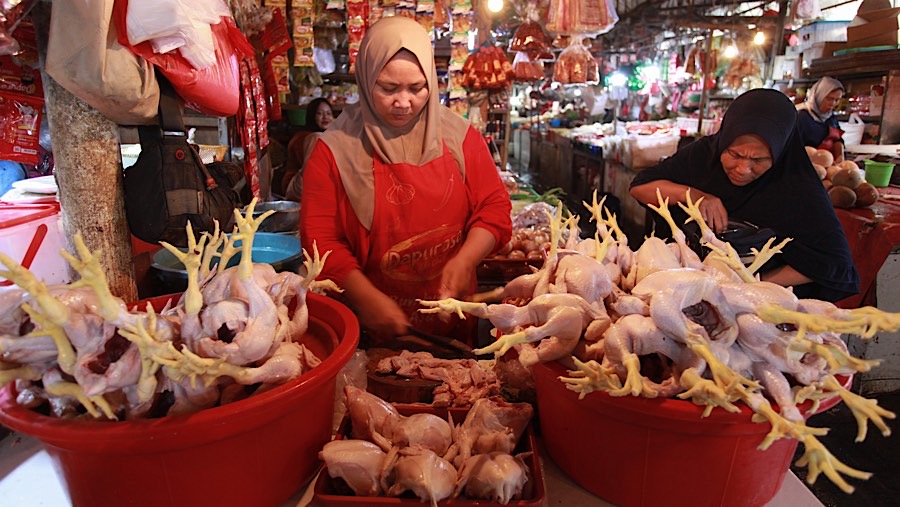 Pedagang memotong daging ayam di Pasar Minggu, Senin (2/12/2024). (Bloomberg Technoz/Andrean Kristianto)