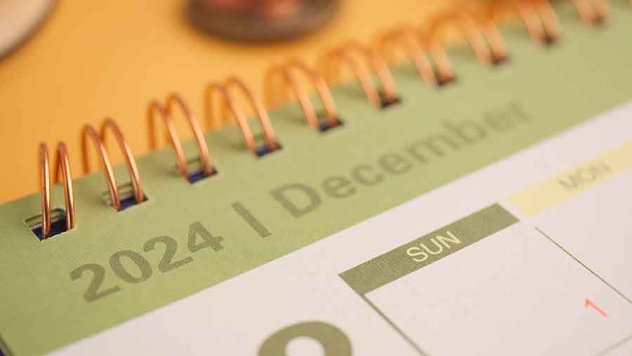 Kalender Desember 2024 (Envato)