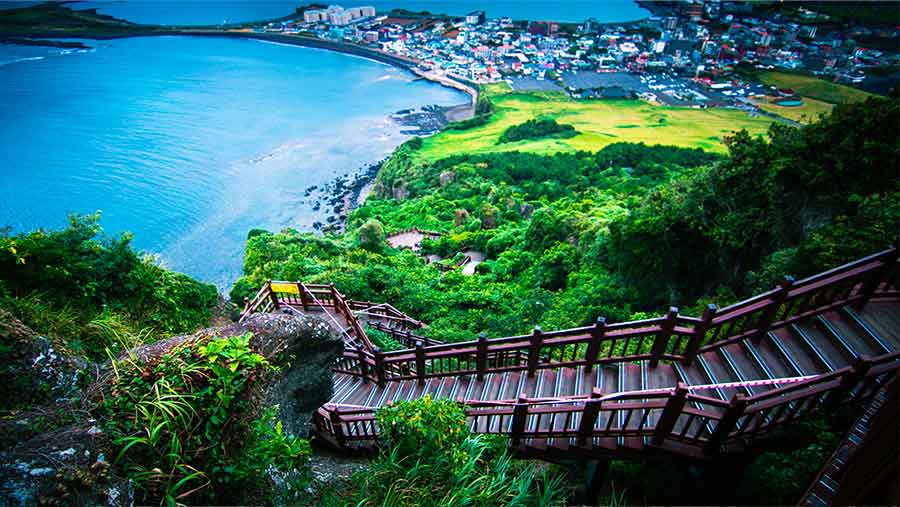 Pulau jeju Korea Selatan (Envato)