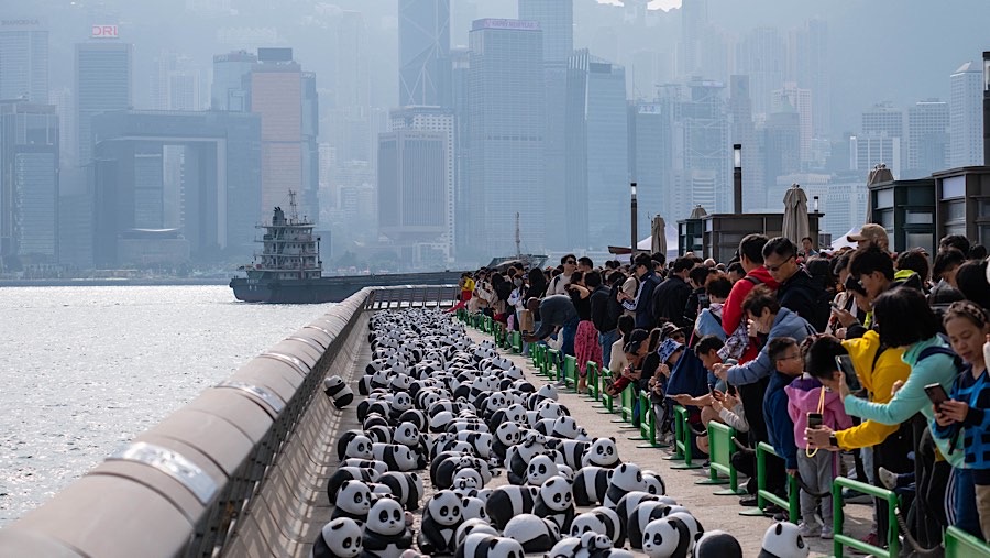 Pengunjung mengambil foto patung panda yang dipajang di tepi pantai Victoria Harbour di Hong Kong, Minggu (8/12/2024). (Billy H.C. Kwok/Bloomberg)