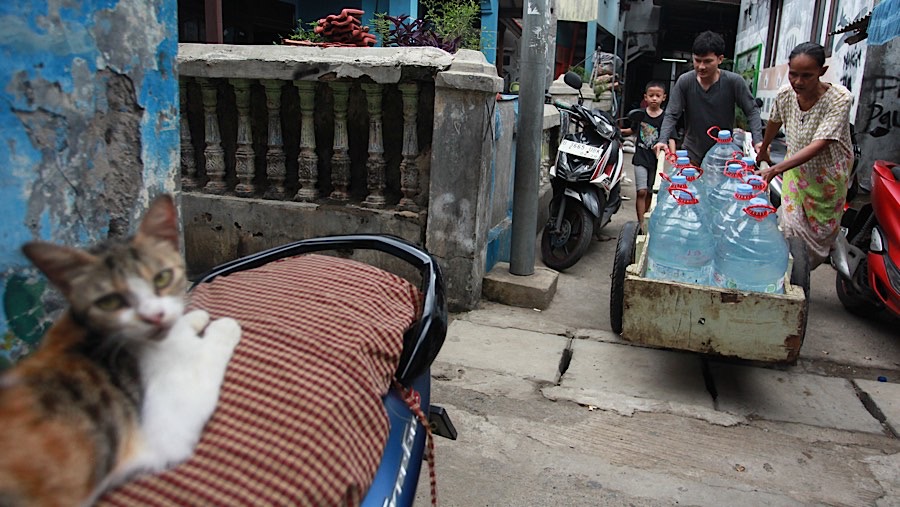 Banjir rob mengakibatkan air di kawasan ini menjadi asin. (Bloomberg Technoz/Andrean Kristianto)