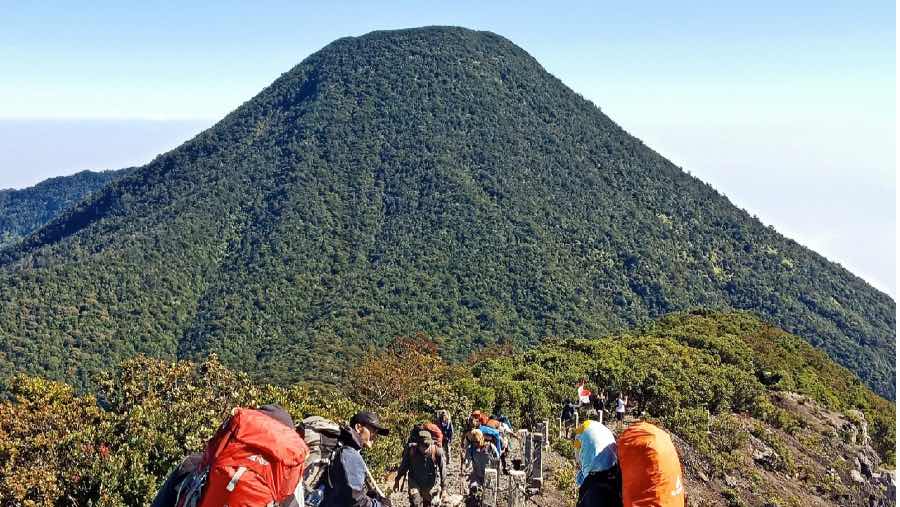 Gunung Gede Pangrango. (Sumber: Website Gedepangrango.org)