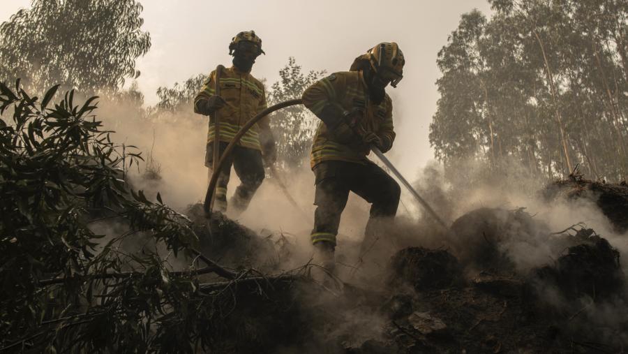 Aksi penyelamatan kebakaran hutan dengan teknologi. (Brais Lorenzo/Bloomberg)