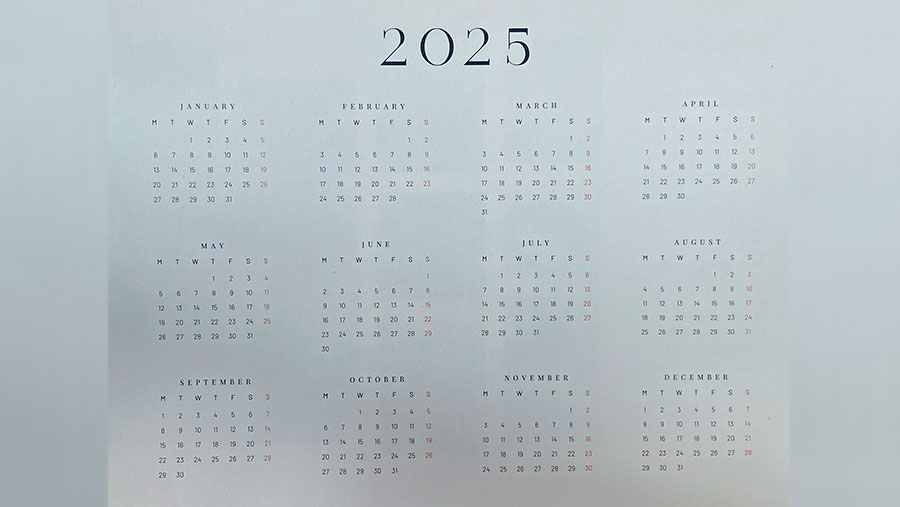 Kalender 2025 (Bloomberg Technoz)