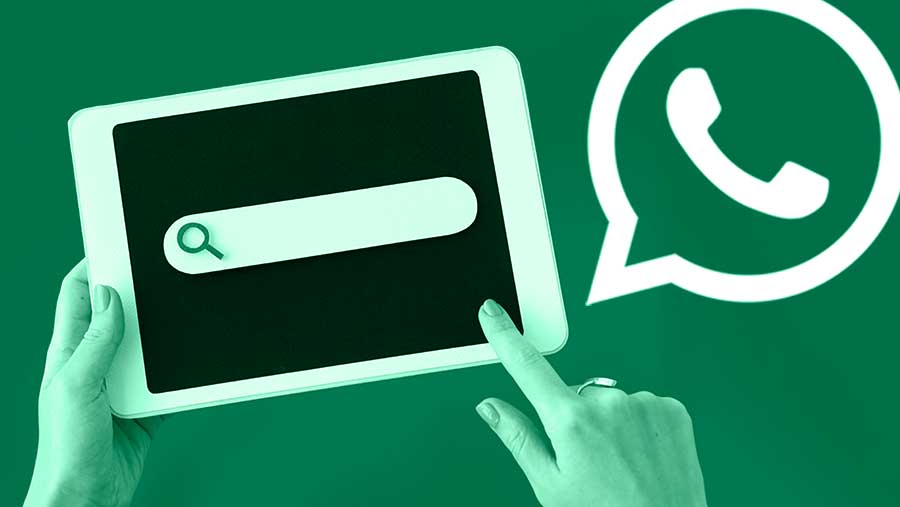 Ilustrasi Fitur Search on Web di WhatsApp (Diolah)