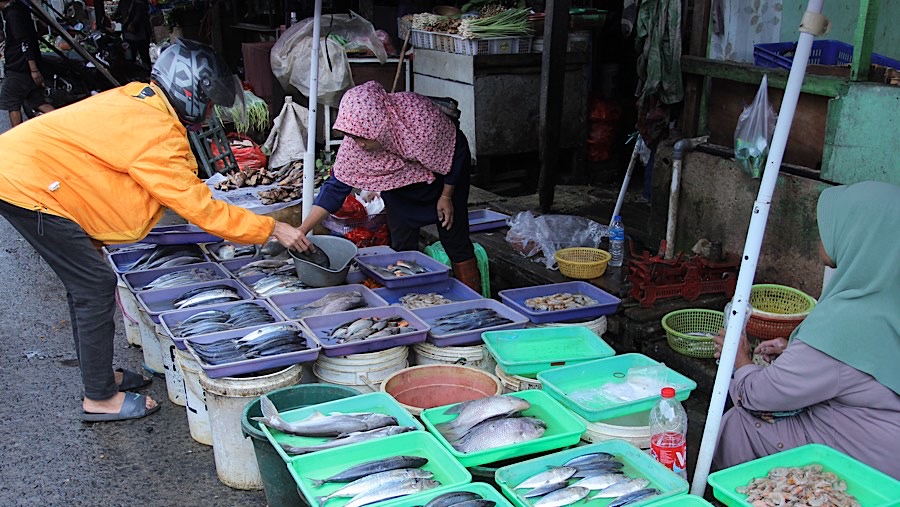 Ikan bawal air tawar juga mengalami kenaikan sebelum tahun baru dari Rp25.000 menjadi Rp30.000. (Bloomberg Technoz/Andrean Kristianto)