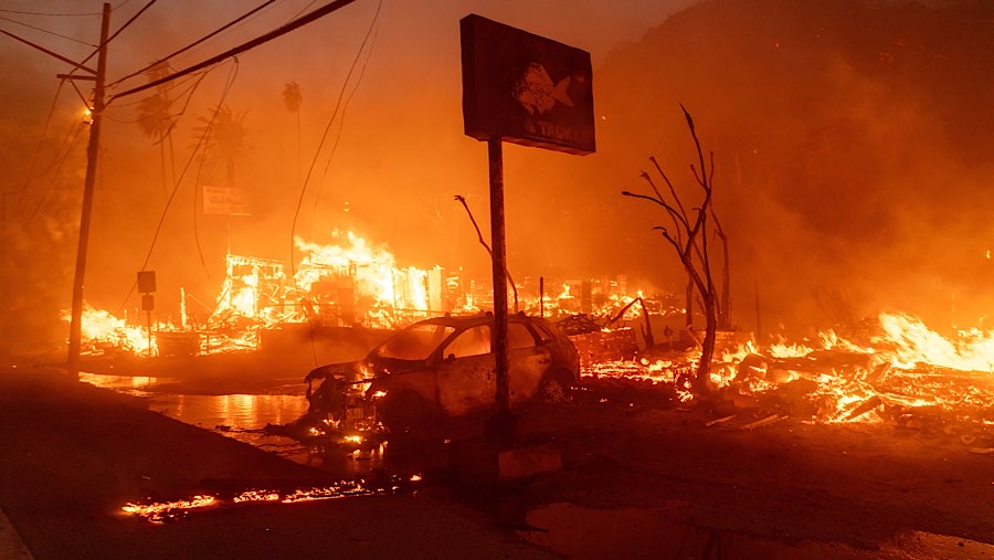 Los Angeles dilanda kebakaran hutan yang memaksa puluhan ribu orang diperintahkan untuk menungsi. (Kyle Grillot/Bloomberg)