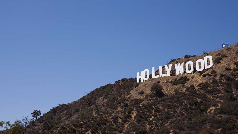 Ilustrasi Hollywood (Envato)