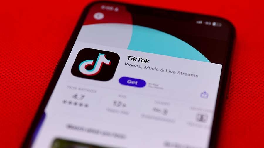 China Pertimbangkan Penjualan TikTok AS ke Elon Musk (Bloomberg)